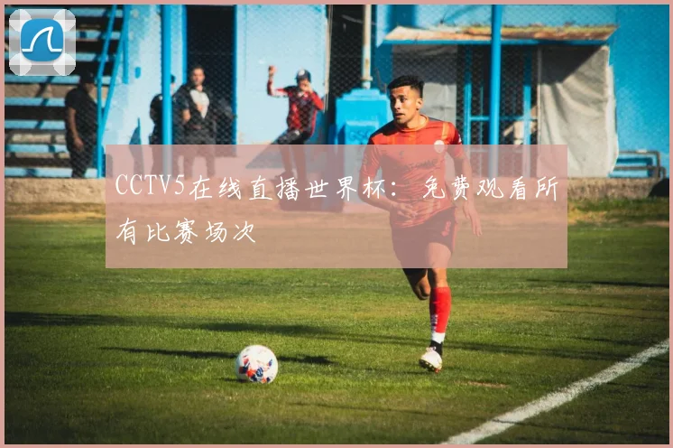 CCTV5在线直播世界杯：免费观看所有比赛场次