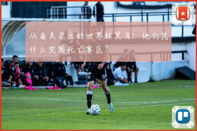 从南美杀出的世界杯黑马：他们凭什么突围死亡赛区？