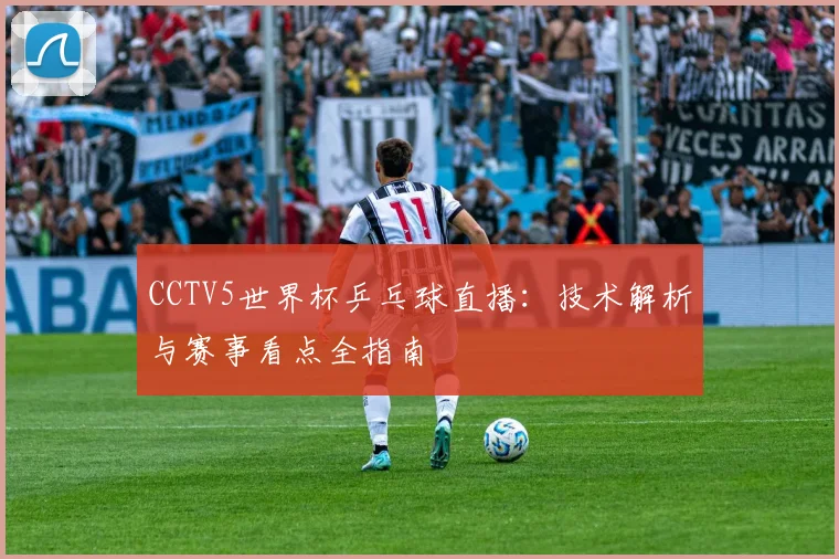 CCTV5世界杯乒乓球直播：技术解析与赛事看点全指南